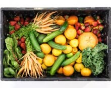 Seasonal Fruits and Vegetables Greece