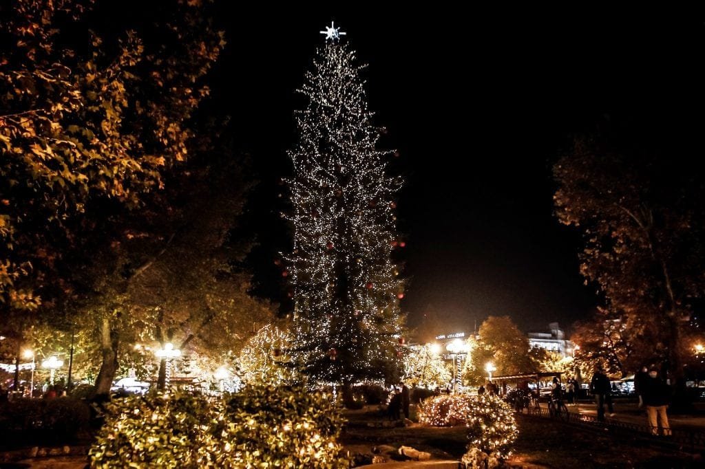 Tallest Natural Christmas Tree in Greece. Christmas in Trikala