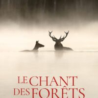 The Song of the Forests, Le Chant des forêts, French Institute of Greece, Institut français de Grèce, French Documentary, Vincent Munier, Expats Greece