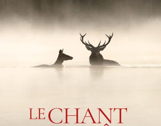 The Song of the Forests, Le Chant des forêts, French Institute of Greece, Institut français de Grèce, French Documentary, Vincent Munier, Expats Greece