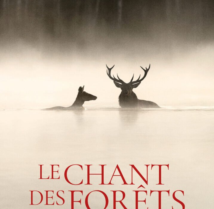 The Song of the Forests, Le Chant des forêts, French Institute of Greece, Institut français de Grèce, French Documentary, Vincent Munier, Expats Greece