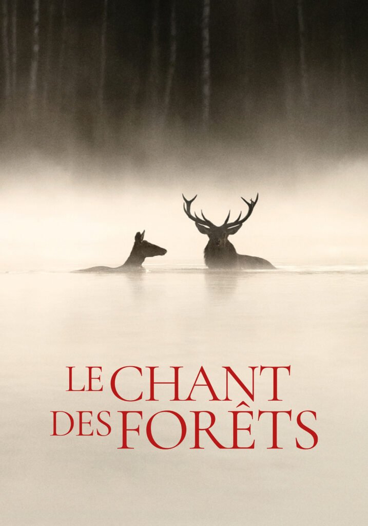 The Song of the Forests, Le Chant des forêts, French Institute of Greece, Institut français de Grèce, French Documentary, Vincent Munier, Expats Greece