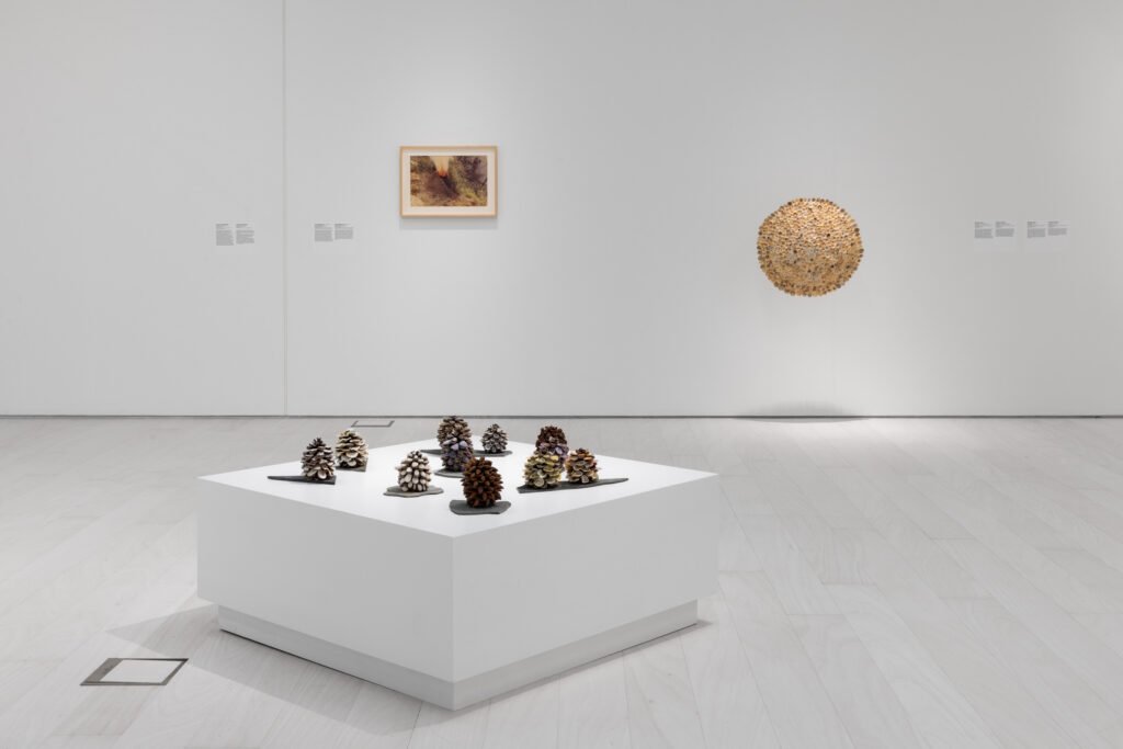 Athena Tacha Ana Mendieta, Sea Garden Exhibition. EMST. Modern Greek Art. Expats Athens, Expats Greece, The National Museum of Contemporary Art, Athens.