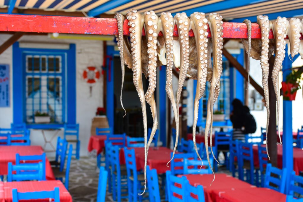 Octopus drying in the sun, Trikeri island