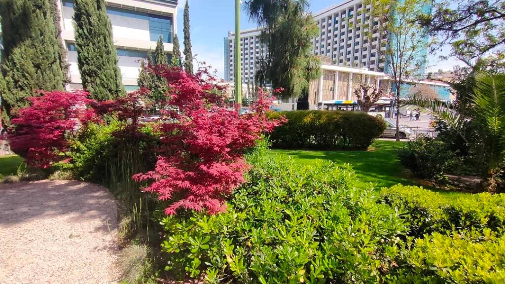 Red Japanese maples and landscaped paths at the Japanese Park of Athens.