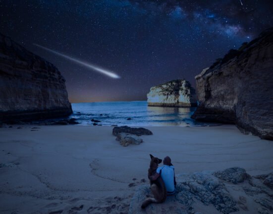 Person and dog watching a bright meteor from a secluded beach beneath the Milky Way.