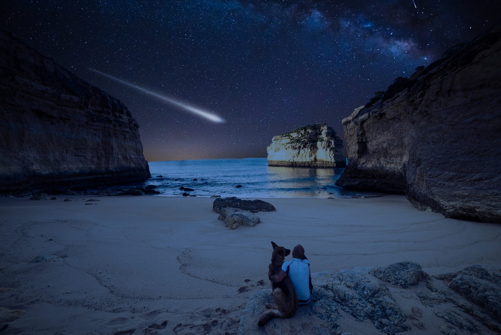Person and dog watching a bright meteor from a secluded beach beneath the Milky Way.