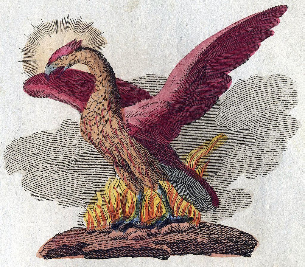 The mythical phoenix in an illustration by Friedrich Justin Bertuch