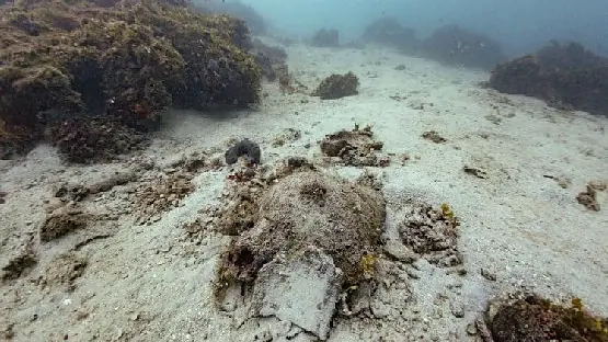 Byzantine amphora on the seabed at the Cape Glaros underwater archaeological site