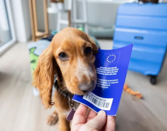 Dog holding an EU pet passport beside a suitcase before moving to Greece