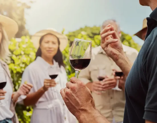 Visitors tasting red wine at a vineyard during a Greek wine festival