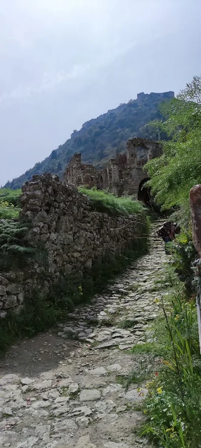Steep cobbled path through the medieval city of Mystras