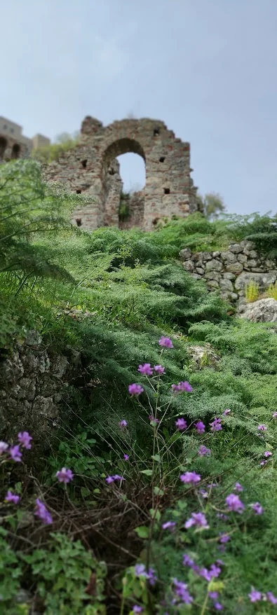 Ruined stone arch surrounded by spring wildflowers at Mystras
