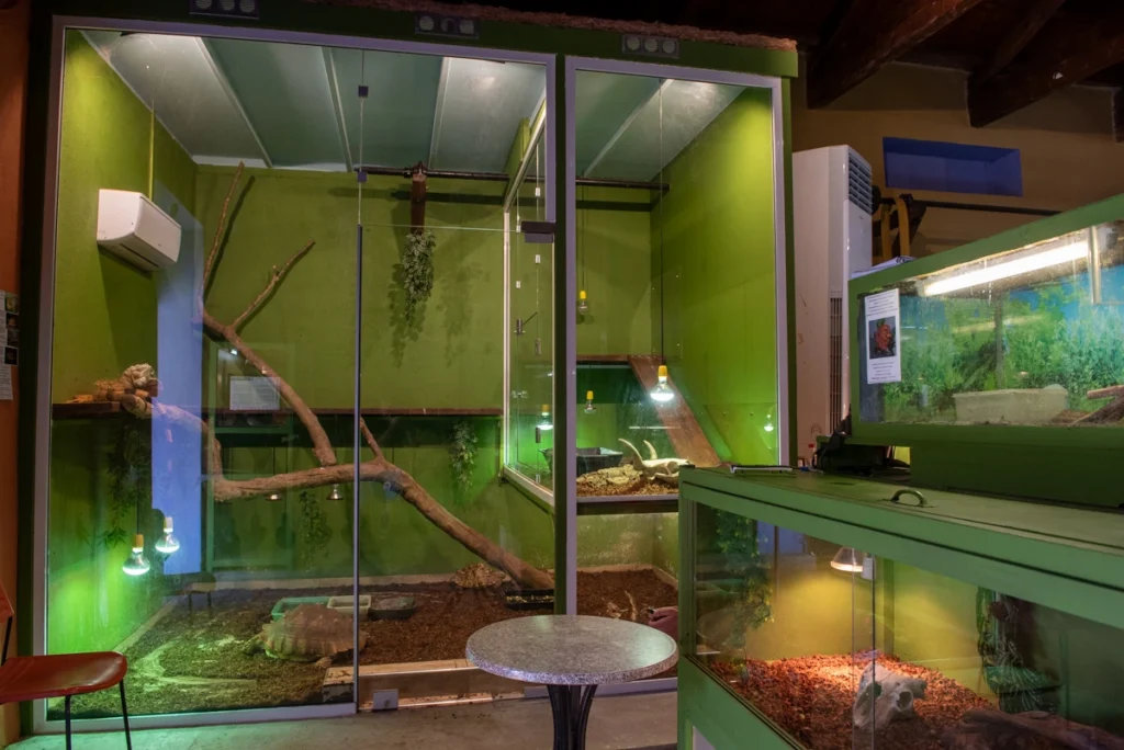 Aquarium and reptile displays inside the restored Giannaki watermill in Edessa