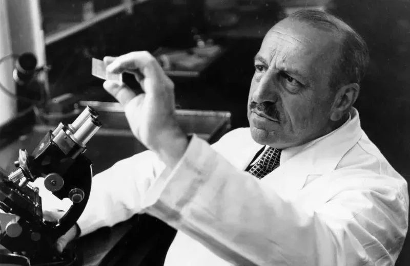 Georgios Papanikolaou examining a microscope slide in his laboratory.