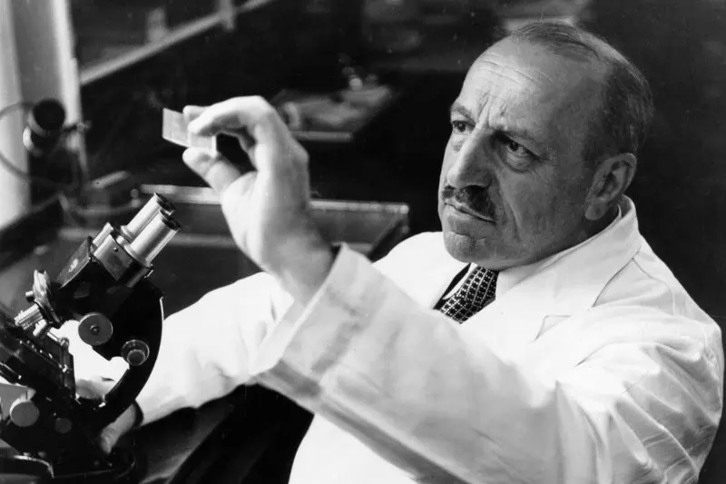 Georgios Papanikolaou examining a microscope slide in his laboratory.