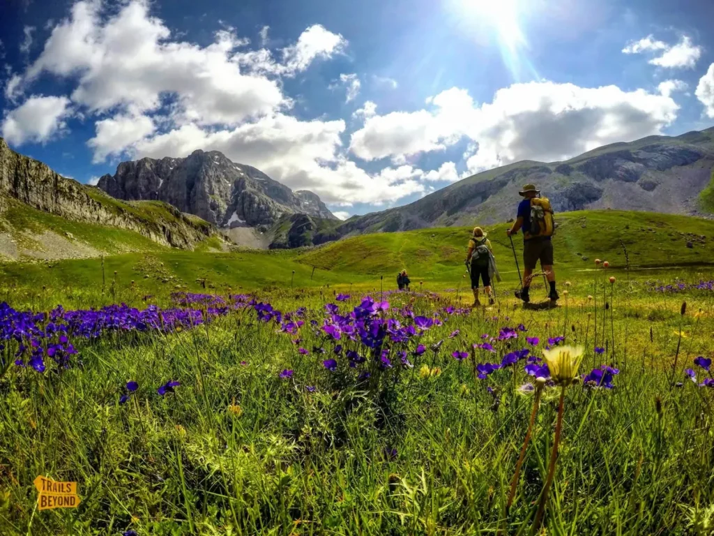 Hikers crossing a green alpine meadow in the Pindus mountains of Greece
