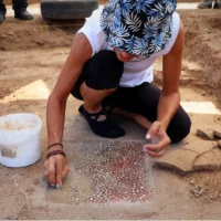 Archaeologist cleaning a mosaic floor at the royal gymnasium of ancient Mieza