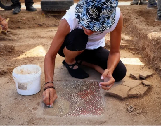 Archaeologist cleaning a mosaic floor at the royal gymnasium of ancient Mieza