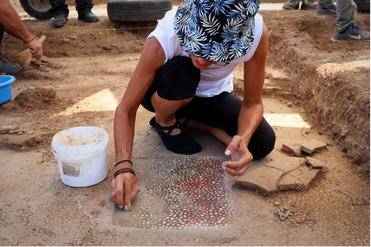 Archaeologist cleaning a mosaic floor at the royal gymnasium of ancient Mieza