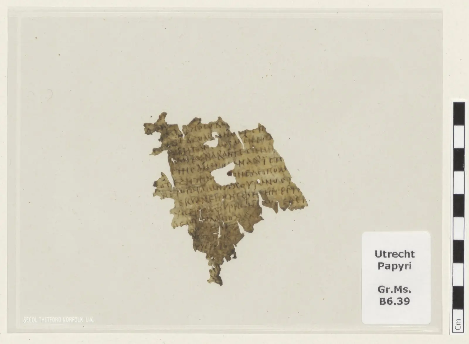 Fragment of the parchment containing verses from Book 12 of Homer’s Odyssey