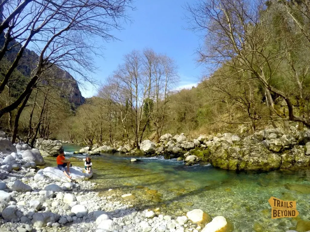 Clear river flowing between forested slopes and rocks in Vikos Gorge