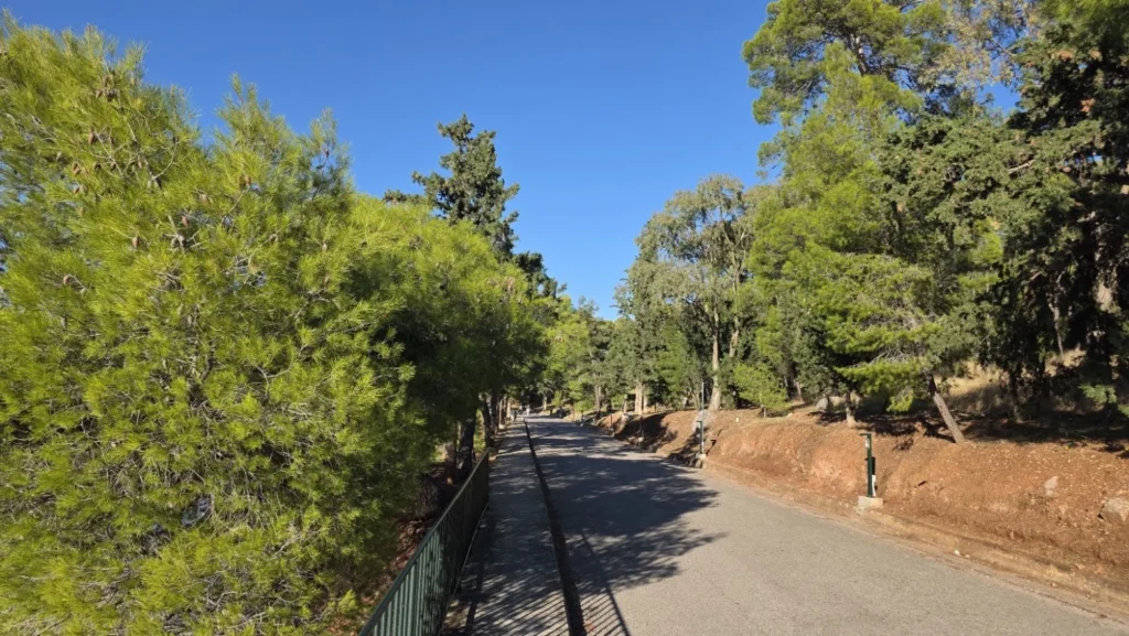 Pine-lined walking route through Pera Panta in Galaxidi, Greece.