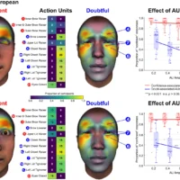 Scientific illustration comparing facial movements associated with confidence and doubt among British and Chinese participants.