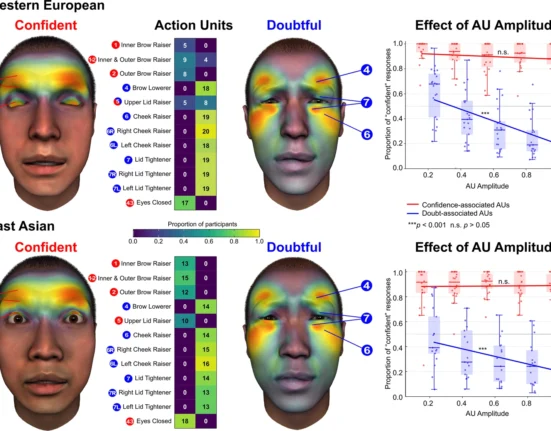 Scientific illustration comparing facial movements associated with confidence and doubt among British and Chinese participants.