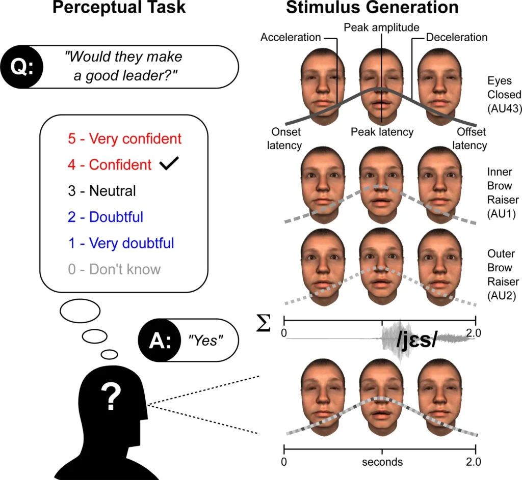 Diagram of the experiment showing computer-generated faces with closed eyes and raised eyebrows while answering a question.